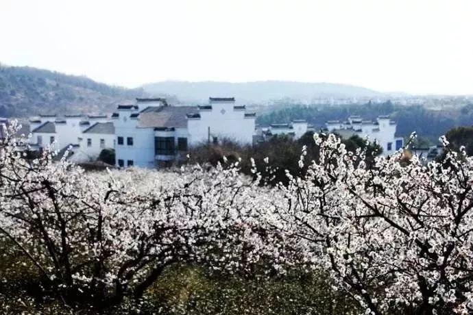 全民烧脑3去广告版